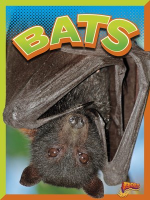 cover image of Bats
